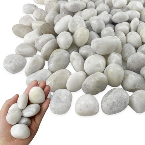 Garrdeen 45LB White River Rocks, High Polished Pebbles, 1–2 inch Decorative Rocks for Garden Landscaping, Lava Rocks for Plants, Aquarium & Fish Tank Rocks, Outdoor Decorative Stones & Pathway Design