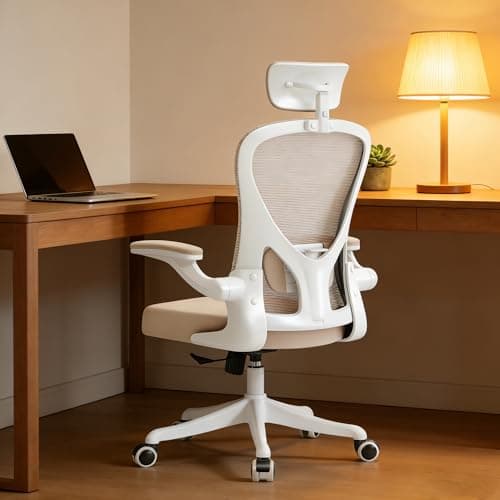 Ergonomic Office Desk Chair High Back Mesh Computer Chair