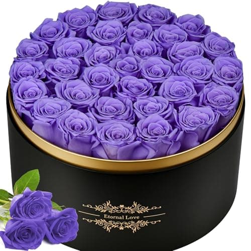 Jibeufi 33 Preserved Flowers Roses Forever in a Box Gifts for Her Delivery Prime Birthday, Anniversary, for Women, Mom, Girl Friend (Purple)
