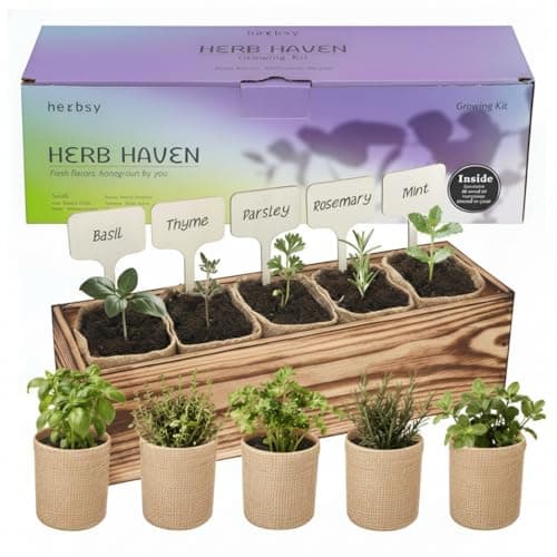 5 Herb Garden Kit with Wooden Box - Including Basil, Thyme, Parsley, Rosemary, Mint - Windowsill Herb Garden for Kitchen, Gardening Gifts for Mom Women, Men, Gift Ideas for Birthday, Housewarming