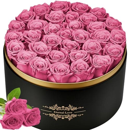 Jibeufi 33 Preserved Flowers Rose Forever Gifts for Her, Forever Roses in a Box for Women Delivery Prime Birthday Anniversary, for Women, Mom, Girl Friend (Pink)