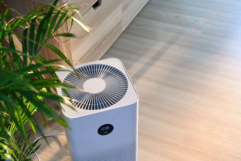 Best air purifiers on amazon by fat kid deals