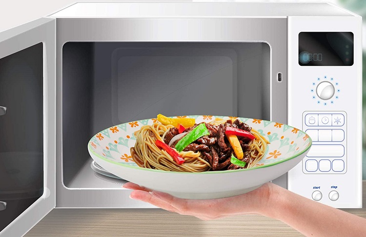 rendering of someone putting shallow bowl of food into microwave