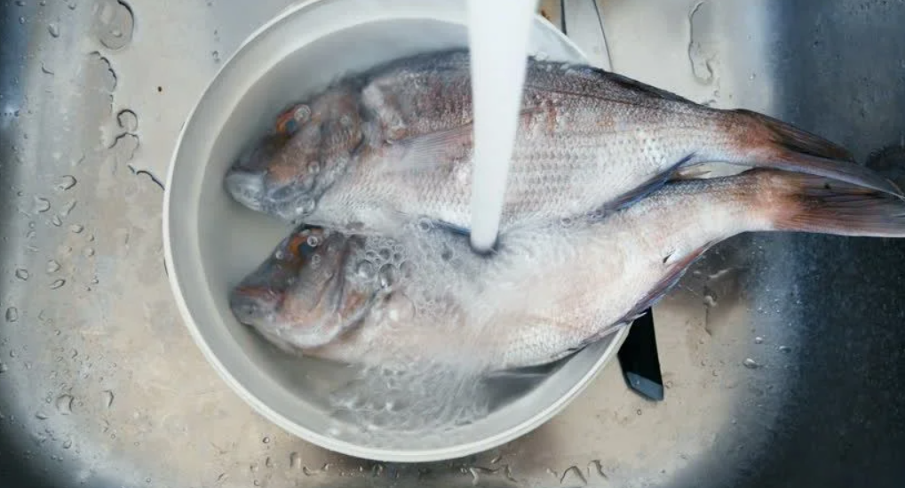 water running over two whole fish in bowl