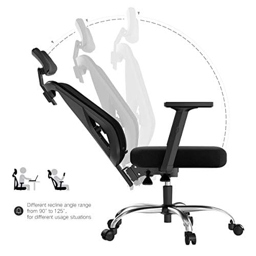 Hbada Ergonomic Office Desk Chair with Adjustable Armrest, Lumbar Support, Headrest and Breathable Skin-Friendly Mesh, Black
