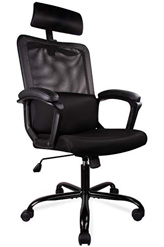 Smugdesk Ergonomic Chair 