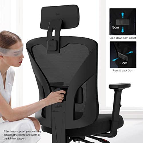 Hbada Ergonomic Office Desk Chair with Adjustable Armrest, Lumbar Support, Headrest and Breathable Skin-Friendly Mesh, Black