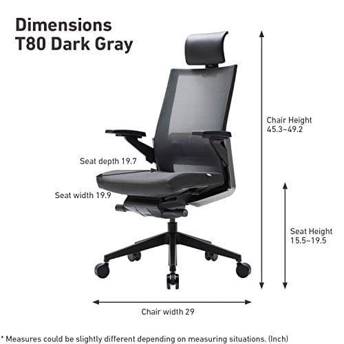 SIDIZ T80 Home Office Desk Chair : German Ultimate Sync Mechanism for Precise Adjustment, Adjustbale Headrest, Fresh Mesh Back, Lumbar Support, 3-Way Adjustable Armrests, Seat Slide/Slope