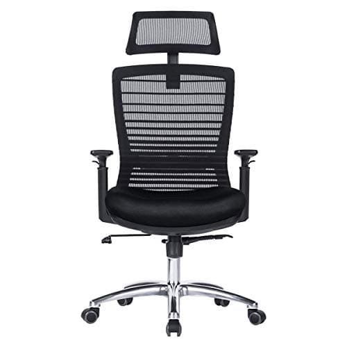 NOVELLAND Ergonomic Office Chair