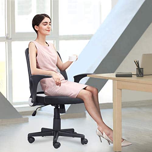 Mysuntown Mesh Office Chair