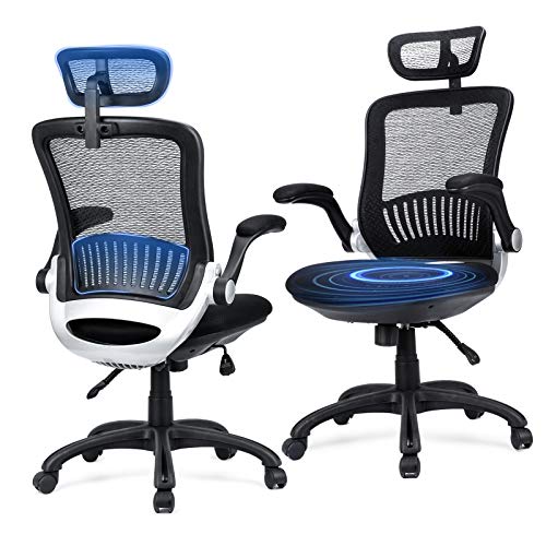 Ergousit Mesh Desk Chair with Adjustable Backrest