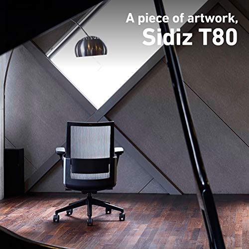SIDIZ T80 Home Office Desk Chair : German Ultimate Sync Mechanism for Precise Adjustment, Adjustbale Headrest, Fresh Mesh Back, Lumbar Support, 3-Way Adjustable Armrests, Seat Slide/Slope