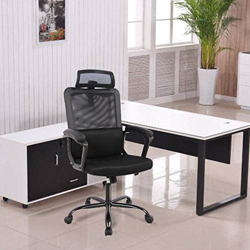 Smugdesk Ergonomic Office Chair 