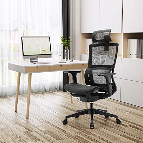 XUER Ergonomic Office Chair with Cozy Lumbar Support and Adjustable 3D Armrest, Computer Desk Chair with Mesh Seat and High Back, Multifunction for Relaxation (Black)