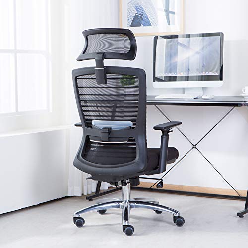 NOVELLAND Ergonomic Reclines Office Chair