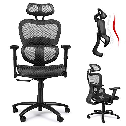 Ergousit Ergonomic Mesh Office Chair, High Back Computer Desk Chair with 3D Lumbar Support, Adjustable Armrest and Headrest, Breathable Home Office Chair, Executive Task Chair 300 lbs