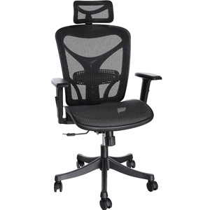 ANCHEER Ergonomic Office Chair