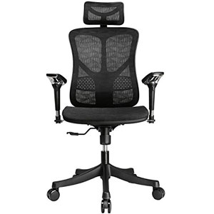Argomax Mesh ergonomic office chair 