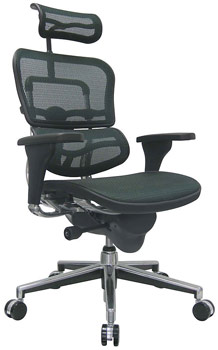 Eurotech Ergohuman Swivel Chair
