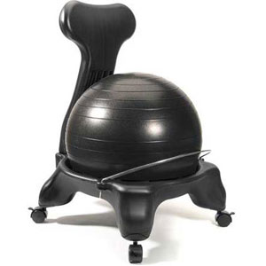 LuxFit Fitness Ergonomic Ball Chair